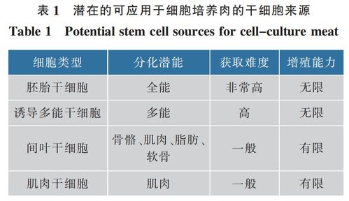 從盤中餐到體內藥 細胞培養技術的跨界融合與未來展望